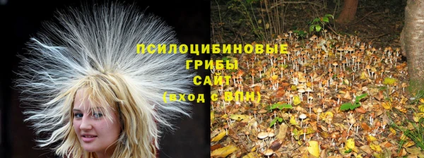 альфа пвп Баксан