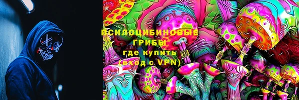 прущие крисы Балахна