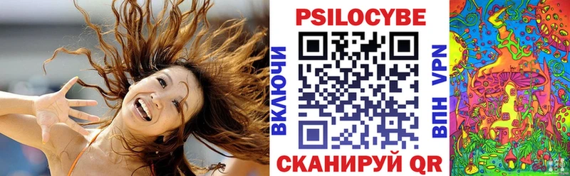 Псилоцибиновые грибы прущие грибы Котельниково